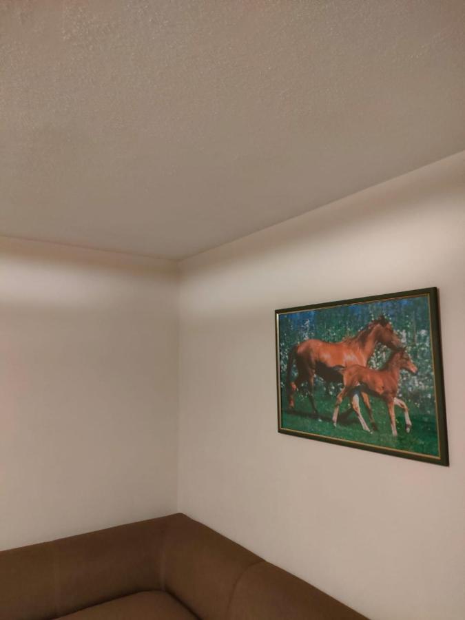 Apartament 6 Osobowy Szklarska Poreba Extérieur photo
